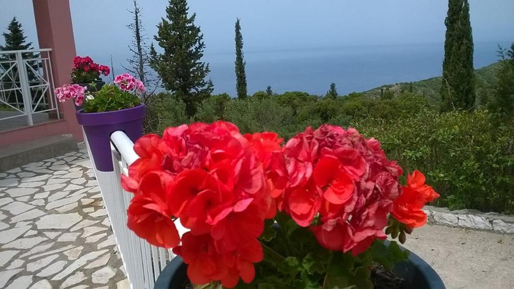 Apartment Agnantio Agios Nikitas
